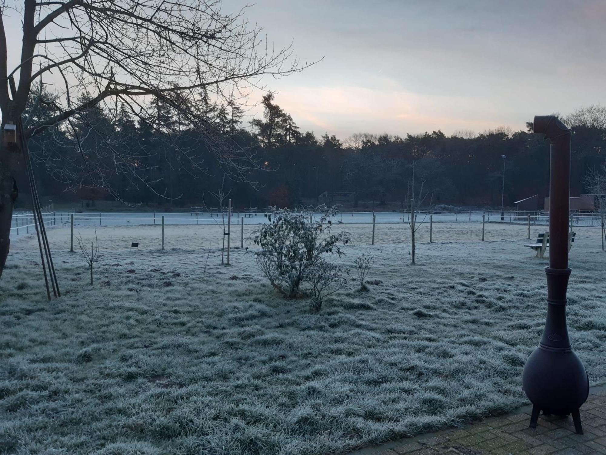 Natuurslaapkamer De Zaadeest Boskamer Lomm Exterior photo